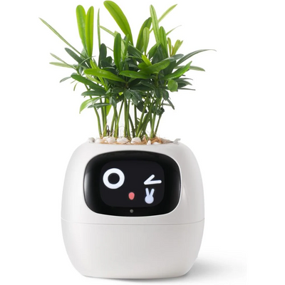 Інтерактивний розумний горщик для рослин Ivy Smart Planter Tuya AI, білий Інтерактивний розумний горщик для рослин Ivy Smart Planter Tuya AI, білий фото