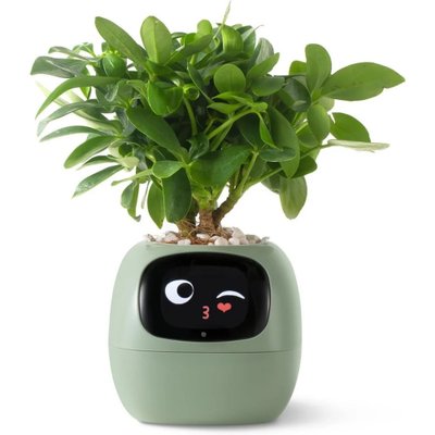 Інтерактивний розумний горщик для рослин Ivy Smart Planter Tuya AI, зелений Інтерактивний розумний горщик для рослин Ivy Smart Planter Tuya AI, зелений фото