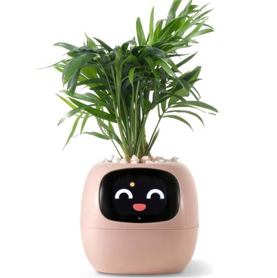 Інтерактивний розумний горщик для рослин Ivy Smart Planter Tuya AI, рожевий Інтерактивний розумний горщик для рослин Ivy Smart Planter Tuya AI, рожевий фото