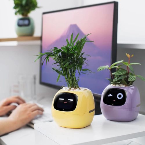 Інтерактивний розумний горщик для рослин Ivy Smart Planter Tuya AI, рожевий Інтерактивний розумний горщик для рослин Ivy Smart Planter Tuya AI, рожевий фото