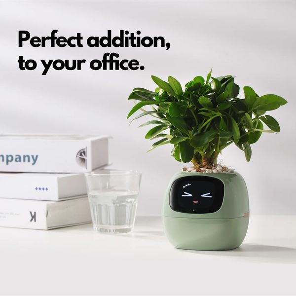 Інтерактивний розумний горщик для рослин Ivy Smart Planter Tuya AI, рожевий Інтерактивний розумний горщик для рослин Ivy Smart Planter Tuya AI, рожевий фото