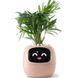 Інтерактивний розумний горщик для рослин Ivy Smart Planter Tuya AI, рожевий Інтерактивний розумний горщик для рослин Ivy Smart Planter Tuya AI, рожевий фото 1