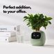 Інтерактивний розумний горщик для рослин Ivy Smart Planter Tuya AI, рожевий Інтерактивний розумний горщик для рослин Ivy Smart Planter Tuya AI, рожевий фото 4