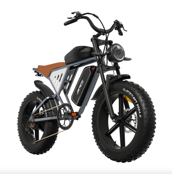 Електровелосипед Jansno X70 ( 750 Вт, 48 В, 34 А/год, 20" x 4.0) сірий JX70_Grey фото