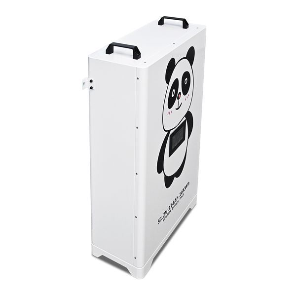 Акумулятор Braun Power 51.2V 314Ah з BMS (16.0 кВт&middot;год) літій-залізо-фосфатний акумулятор для ДБЖ (UPS) BP-51.2V-314AHP фото