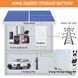 Акумулятор LiFePO4 Braun Power Panda 51.2V 628Ah 32 кВт&middot;год для ДБЖ BP-P-628 фото 8