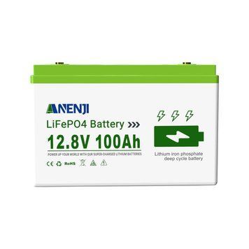 Акумулятор LiFePO4 ANENJI 12.8V 100Ah з BMS для сонячних станцій, до 6000+ циклів  AN-LFP-12V100 фото